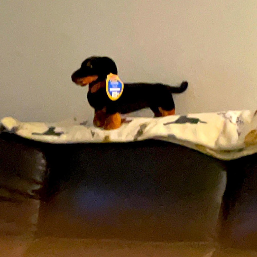 Stuffed toy